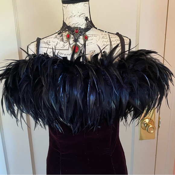Vintage Velvet Gothic Gown with Feather Neckline - Picture 9 of 13